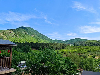 新牛頓叉車團(tuán)建